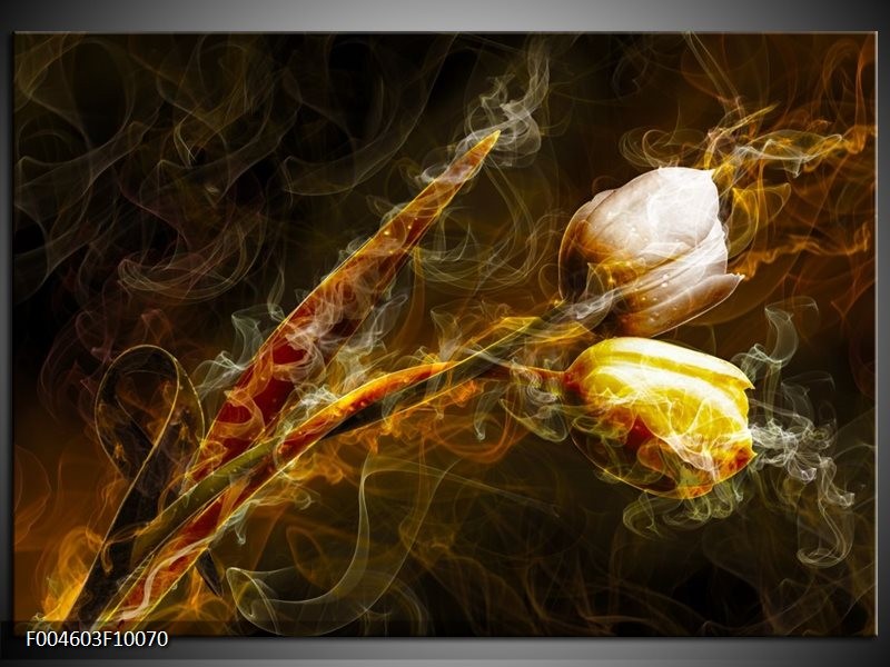 Foto canvas schilderij Tulp | Geel, Wit, Groen