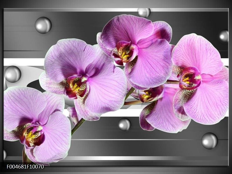 Glas schilderij Orchidee | Grijs, Paars, Wit