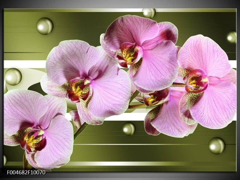 Foto canvas schilderij Orchidee | Groen, Paars, Roze