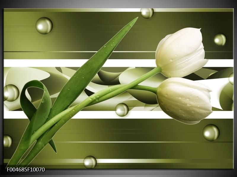 Foto canvas schilderij Tulp | Grijs, Wit, Groen