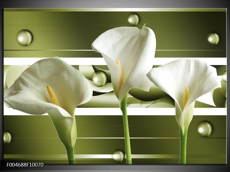 Foto canvas schilderij Bloem | Groen, Wit