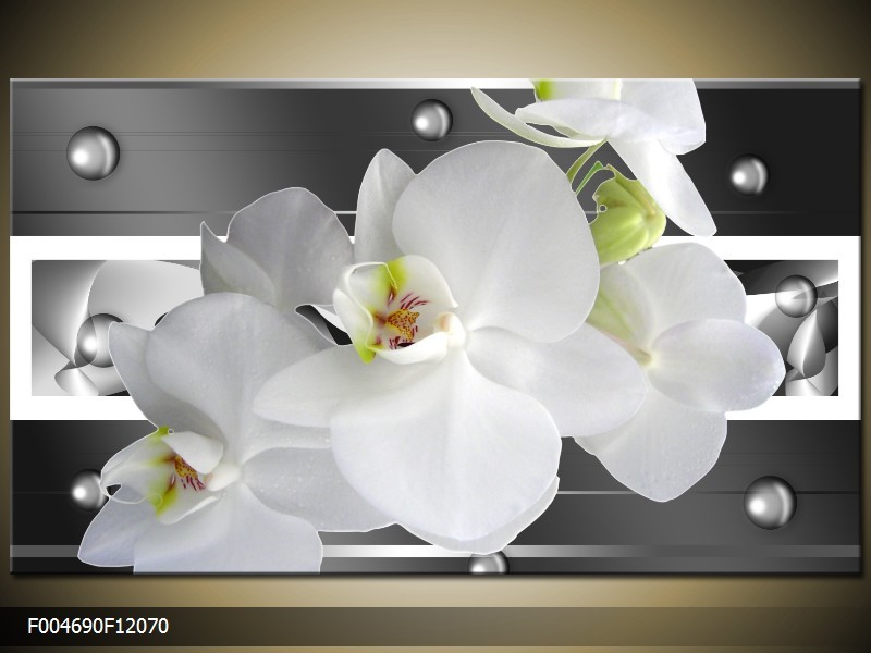 OP VOORRAAD Foto canvas schilderij Orchidee | Kleur: Grijs, Wit | F004690