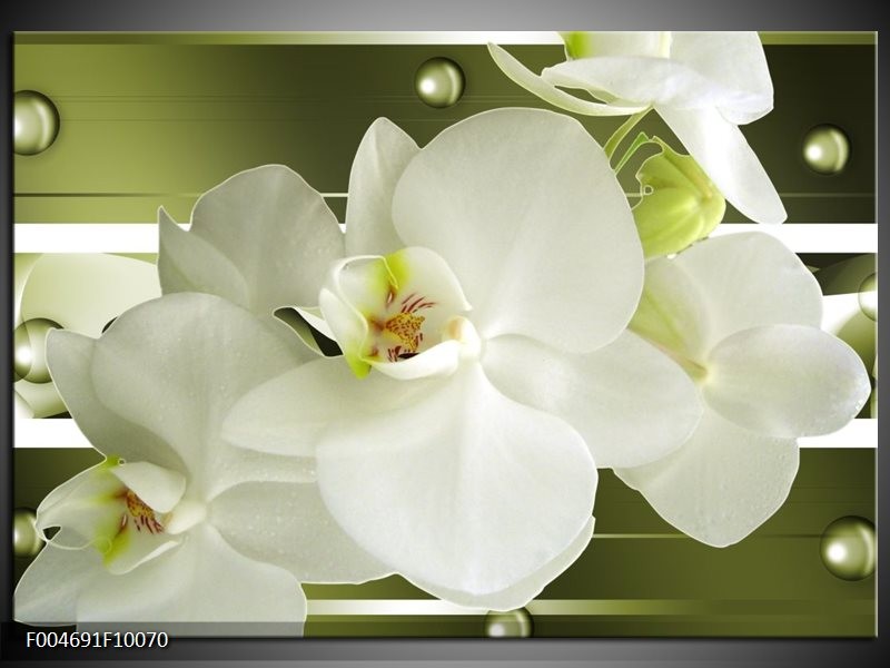 Glas schilderij Orchidee | Groen, Wit