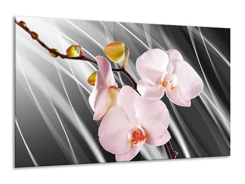 Glas schilderij Orchidee | Grijs, Roze, Wit | 120x70cm 1Luik