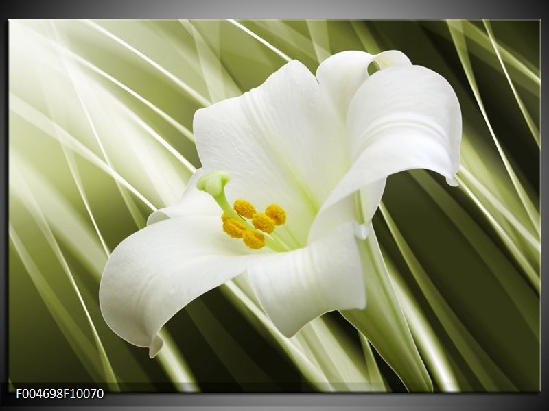 Foto canvas schilderij Bloem | Groen, Wit