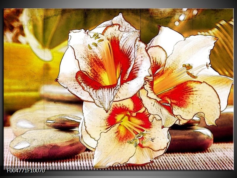 Foto canvas schilderij Bloem | Wit, Rood, Geel