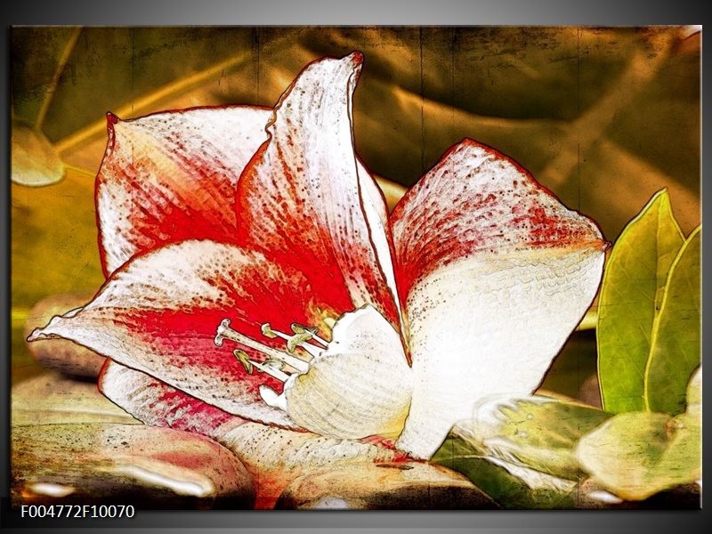 Foto canvas schilderij Bloem | Wit, Rood, Geel