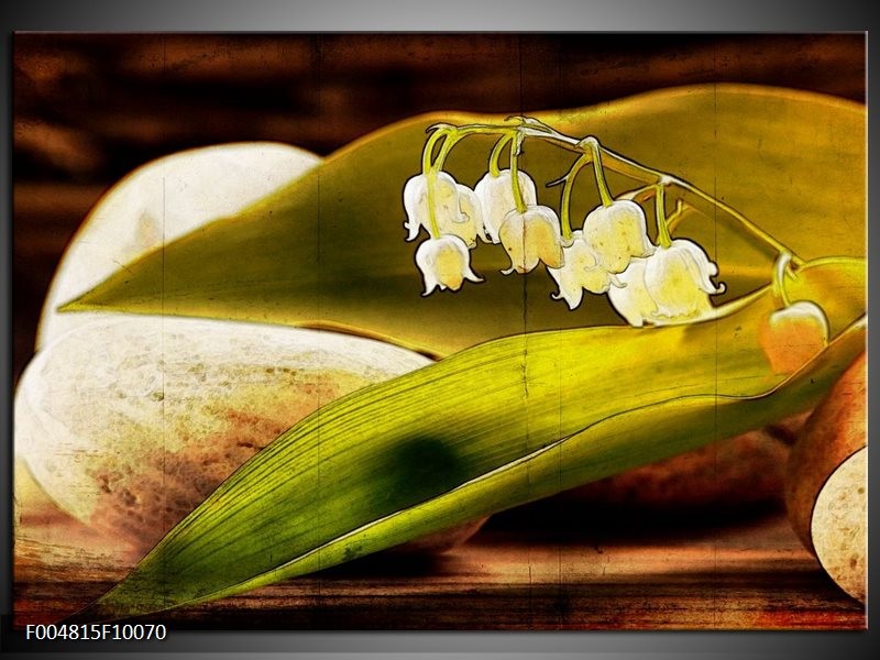 Foto canvas schilderij Bloem | Groen, Wit, Bruin