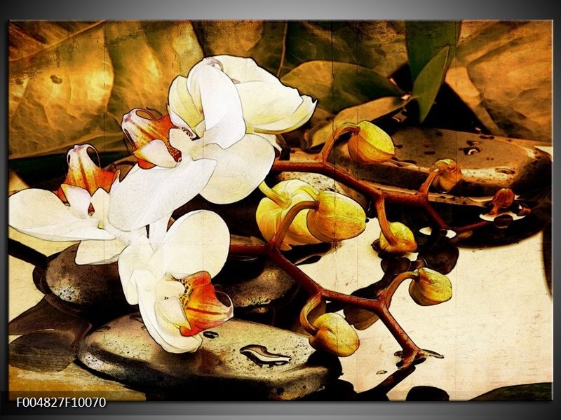 Foto canvas schilderij Orchidee | Bruin, Wit, Groen