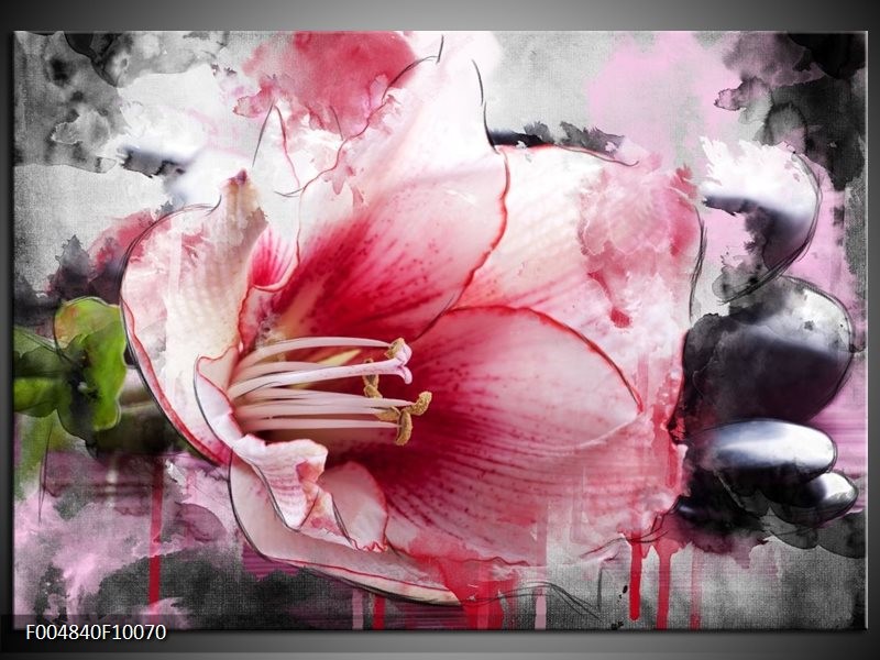 Foto canvas schilderij Bloem | Rood, Grijs, Wit