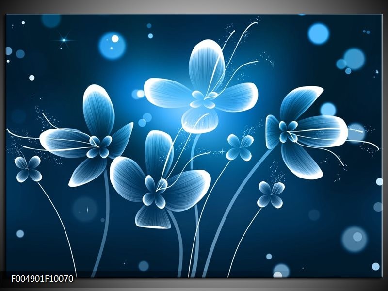 Foto canvas schilderij Bloem | Blauw, Wit