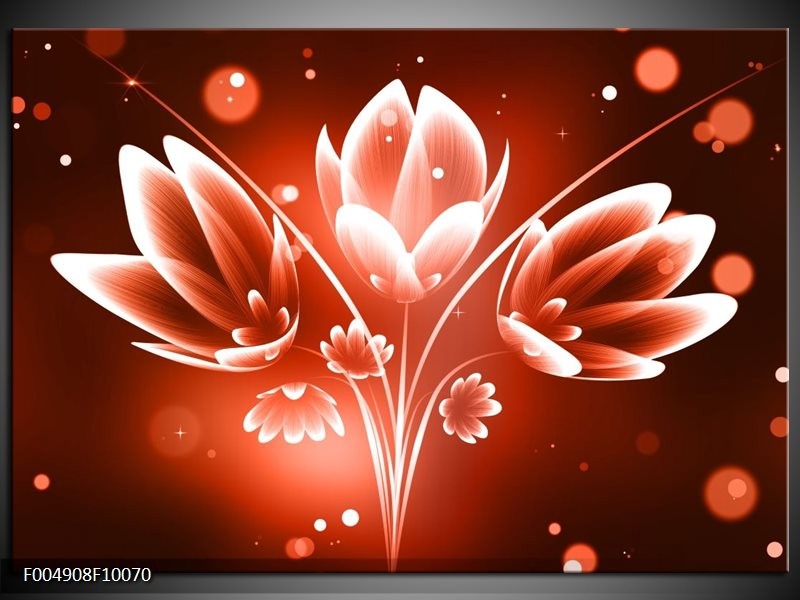 Foto canvas schilderij Bloem | Rood, Wit