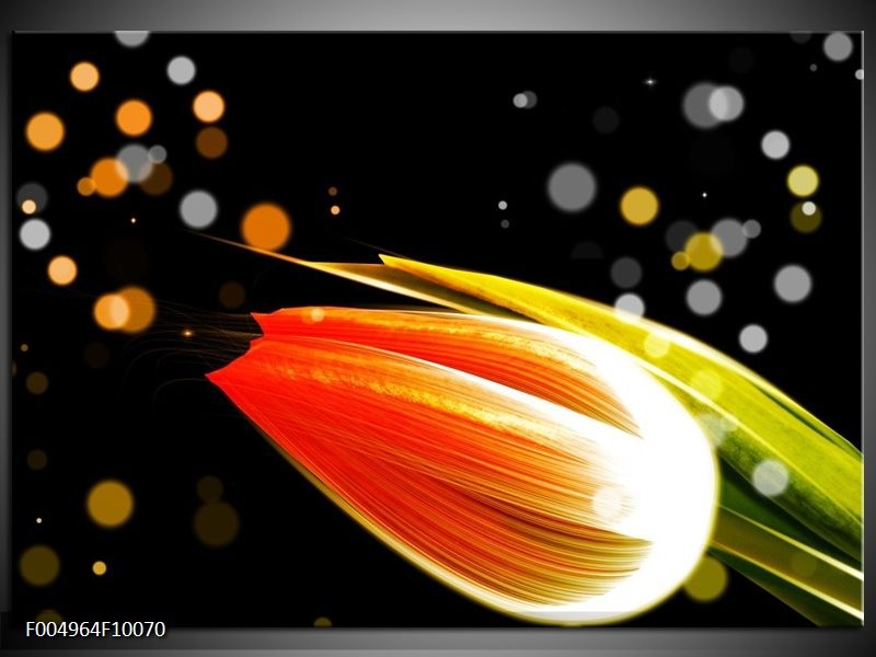 Glas schilderij Tulp | Oranje, Zwart