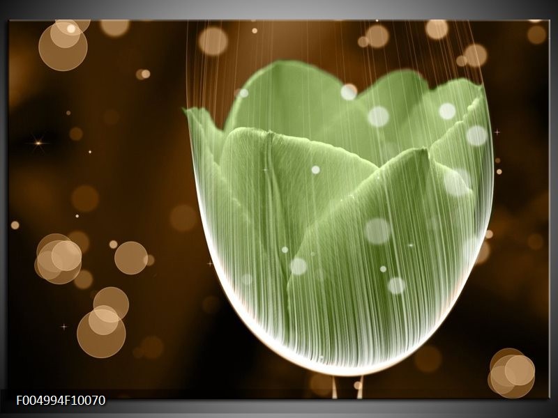 Glas schilderij Tulp | Groen, Bruin