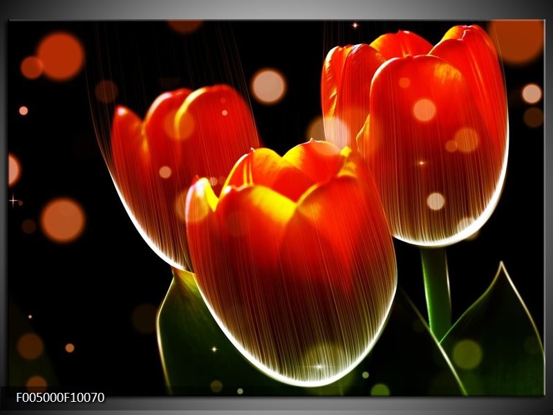 Foto canvas schilderij Tulp | Oranje, Geel, Rood