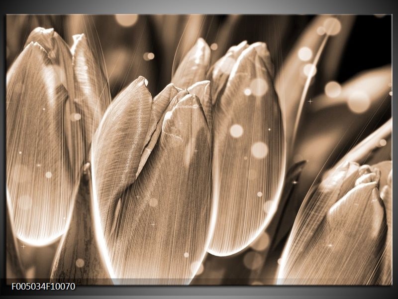 Foto canvas schilderij Tulp | Grijs, Zwart