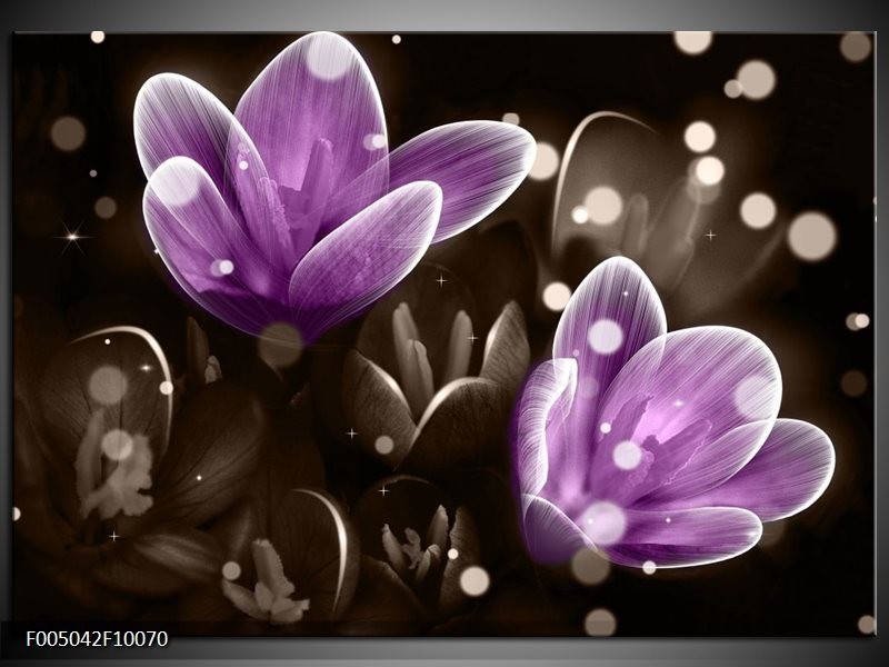 Foto canvas schilderij Bloem | Paars, Grijs