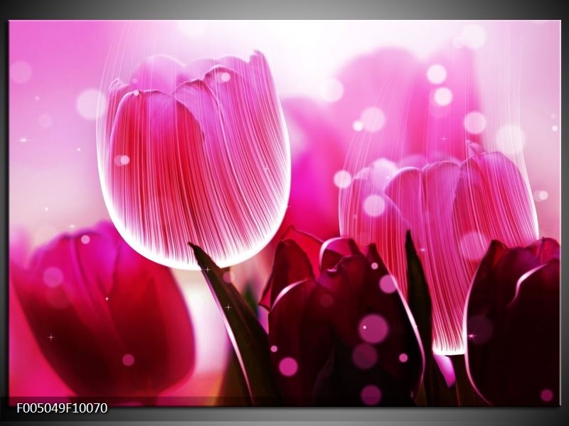 Foto canvas schilderij Tulp | Roze, Wit, Grijs