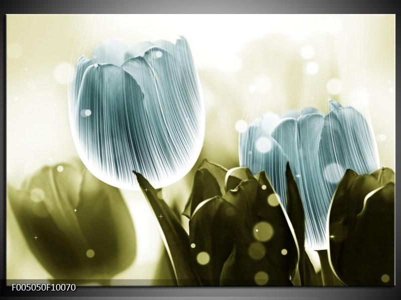 Glas schilderij Tulp | Blauw, Groen