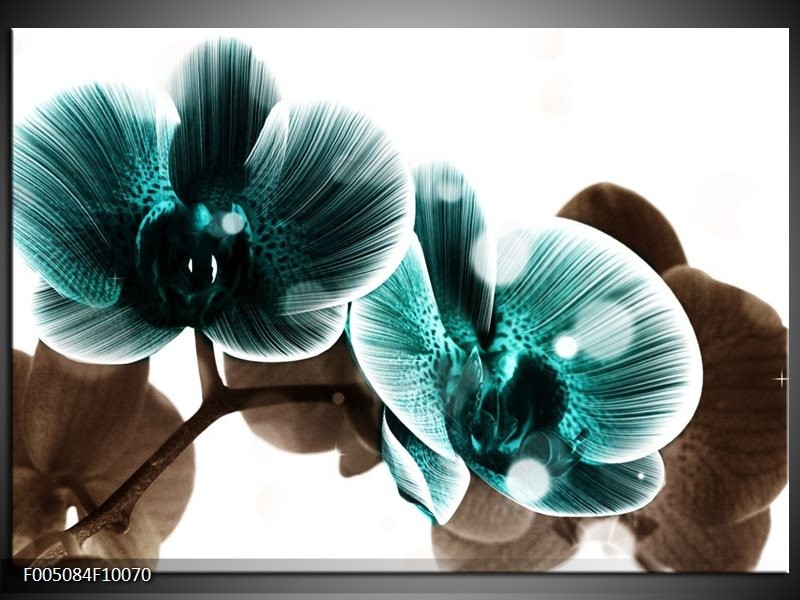 Foto canvas schilderij Orchidee | Groen, Wit