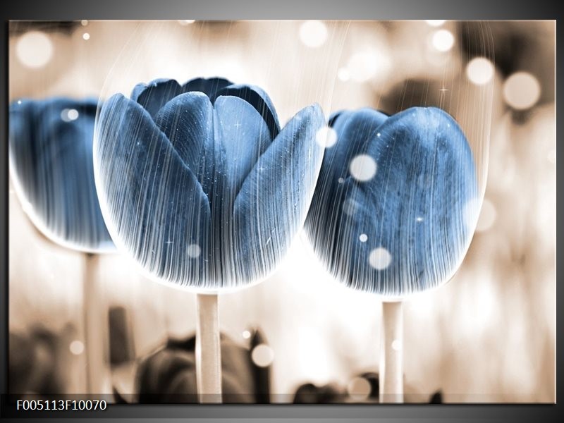 Foto canvas schilderij Tulp | Blauw, Wit