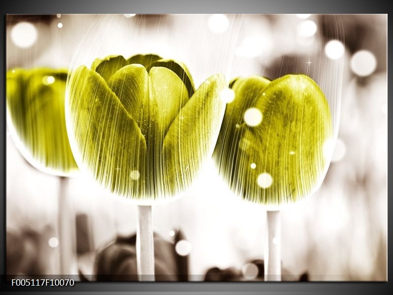 Glas schilderij Tulp | Geel, Wit