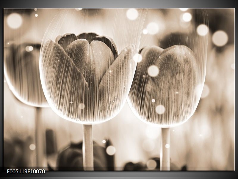 Foto canvas schilderij Tulp | Grijs