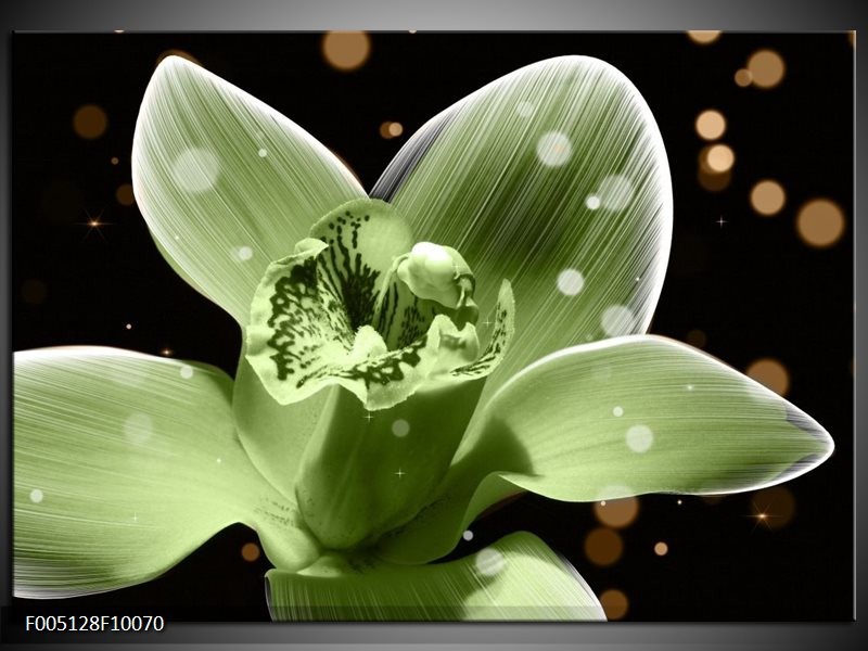 Glas schilderij Iris | Groen, Zwart