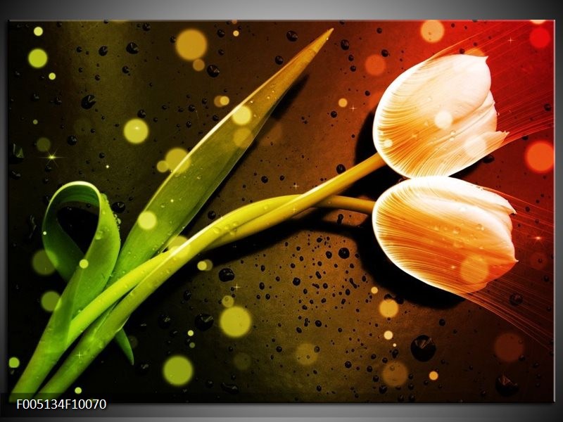 Foto canvas schilderij Tulp | Oranje, Groen, Rood