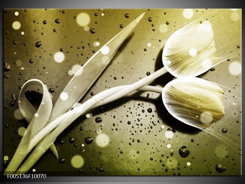 Foto canvas schilderij Tulp | Grijs, Wit