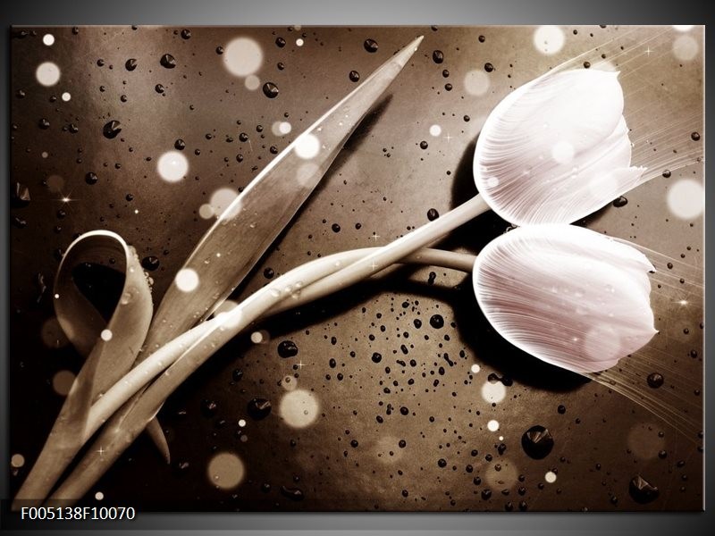 Glas schilderij Tulp | Wit, Grijs