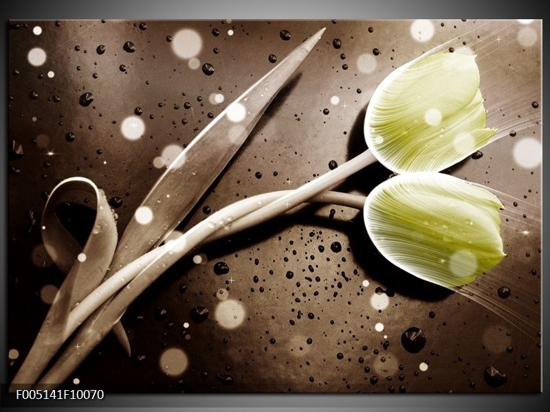 Foto canvas schilderij Tulp | Geel, Grijs