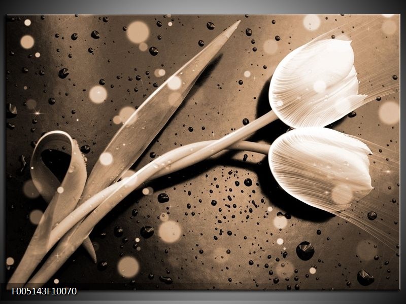 Foto canvas schilderij Tulp | Grijs, Wit