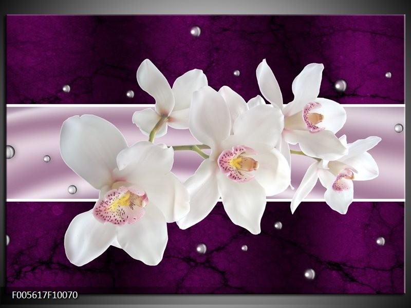 Foto canvas schilderij Orchidee | Wit, Paars