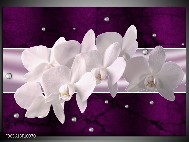 Foto canvas schilderij Orchidee | Wit, Paars
