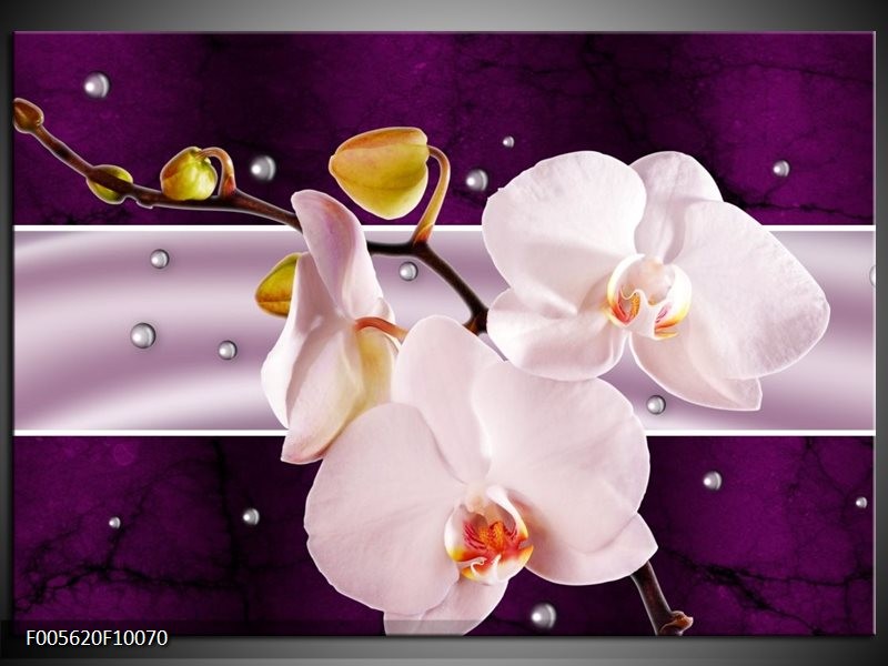 Foto canvas schilderij Orchidee | Paars, Wit, Grijs