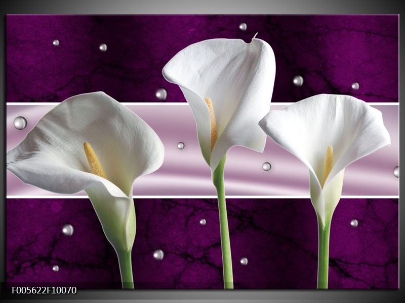 Foto canvas schilderij Bloem | Wit, Paars