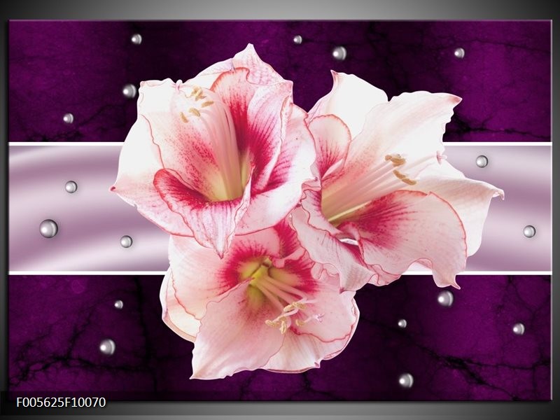 Foto canvas schilderij Tuin | Paars, Roze, Wit