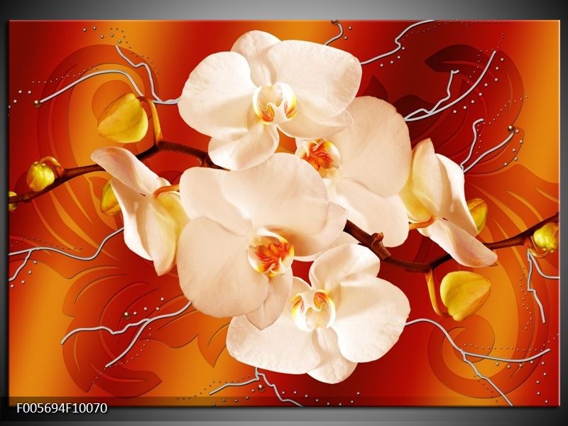 Foto canvas schilderij Orchidee | Rood, Oranje, Creme