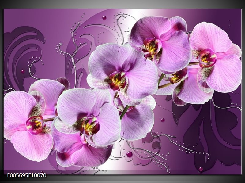 Foto canvas schilderij Orchidee | Paars