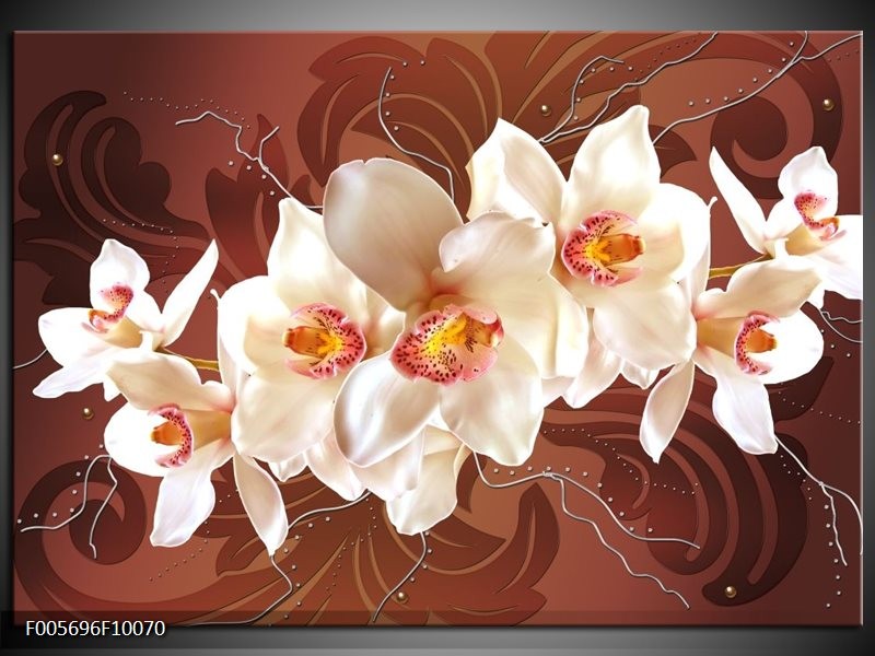 Foto canvas schilderij Orchidee | Bruin, Creme