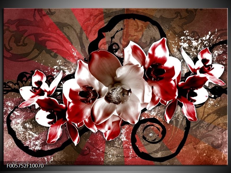 Foto canvas schilderij Orchidee | Rood, Wit,