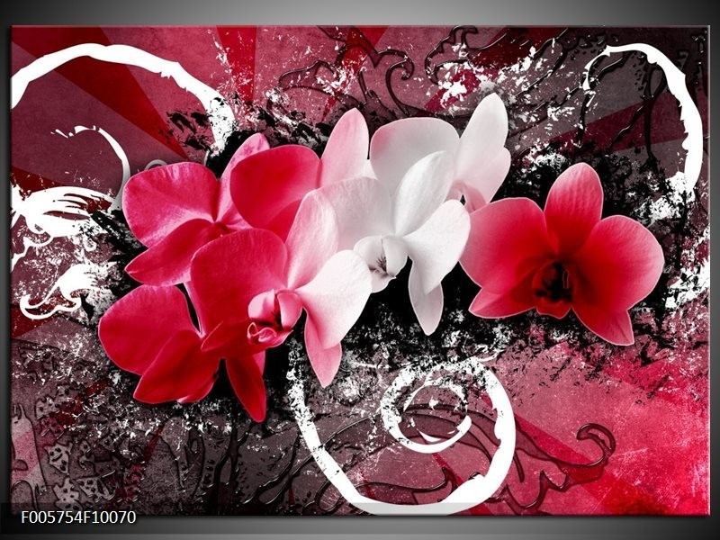 Foto canvas schilderij Orchidee | Roze, Wit, Zwart