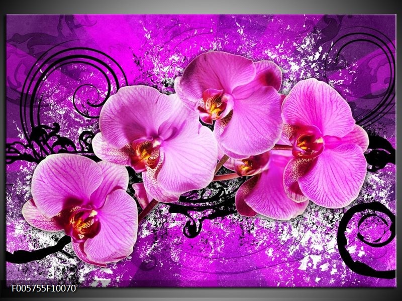 Glas schilderij Orchidee | Paars