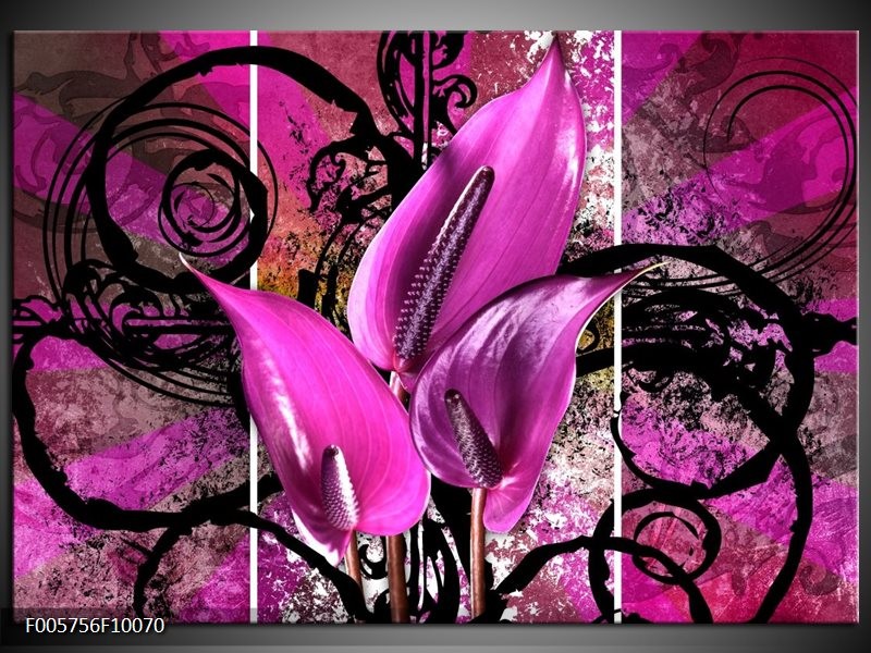 Foto canvas schilderij Anthurium | Paars, Zwart
