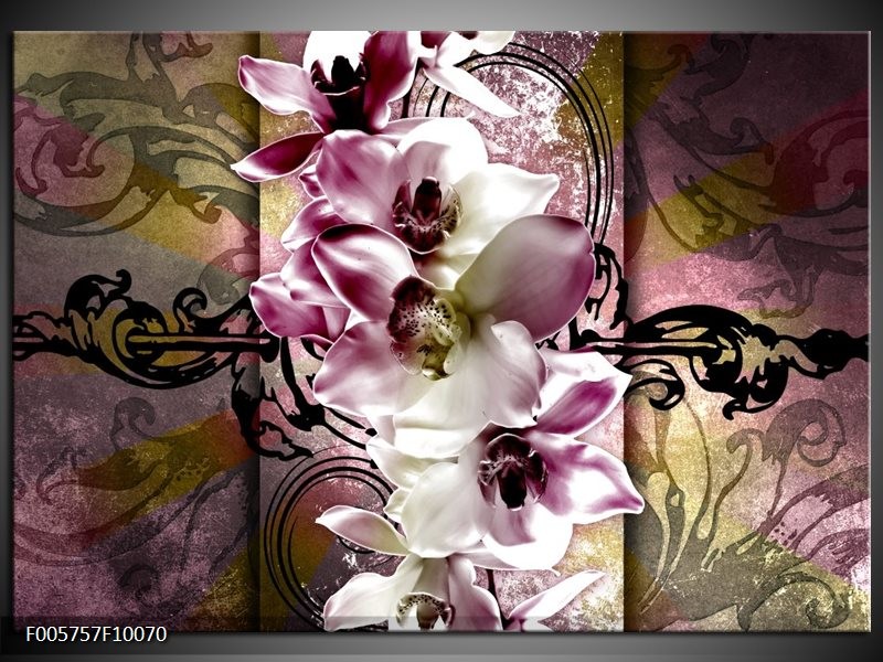 Foto canvas schilderij Orchidee | Paars, Wit