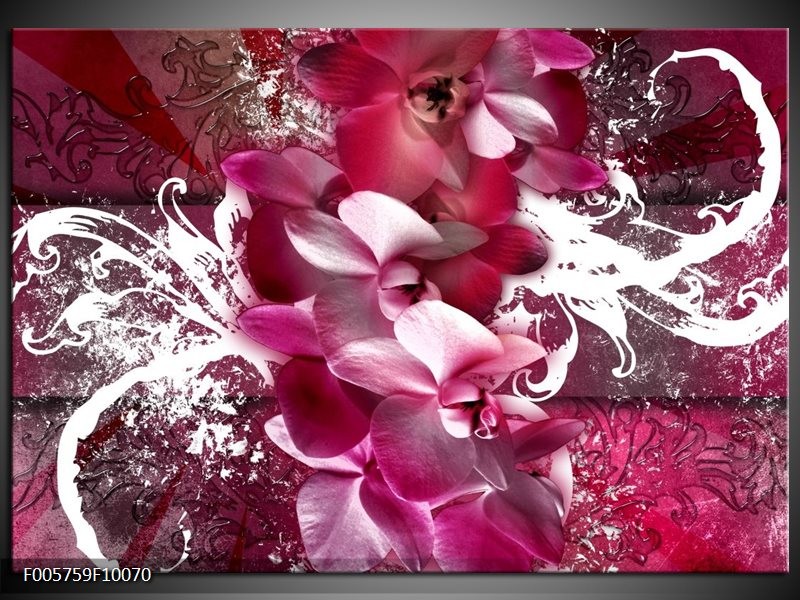 Foto canvas schilderij Orchidee | Roze, Wit