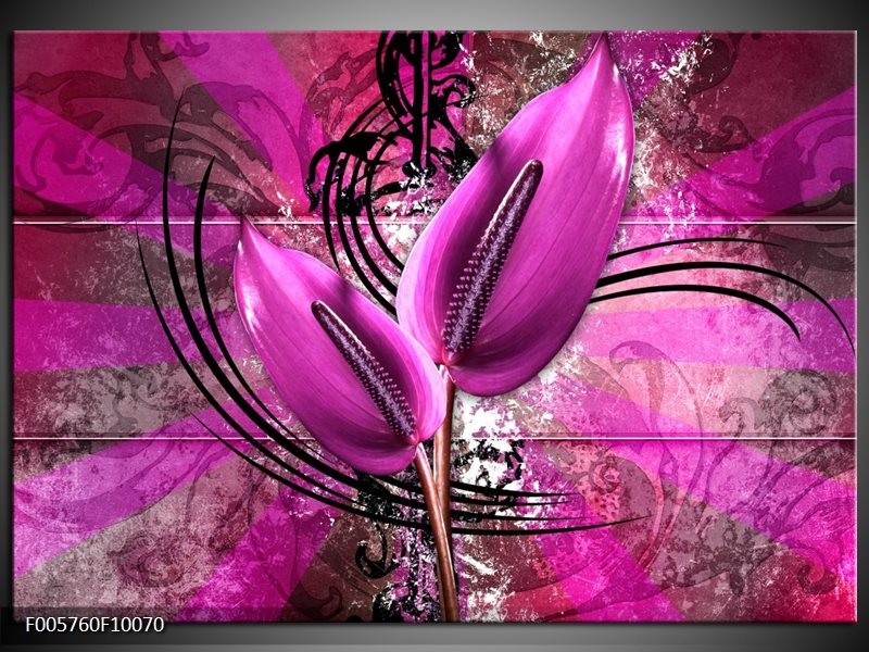 Foto canvas schilderij Anthurium | Paars