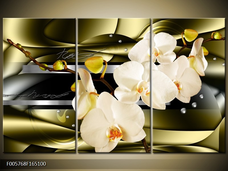 OP VOORRAAD Foto canvas schilderij Orchidee | Kleur: Groen, reme | F005768