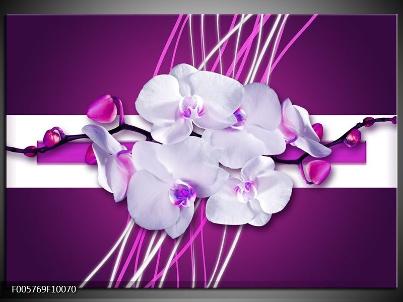 Glas schilderij Orchidee | Paars, Wit